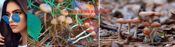 бутик Кулебаки