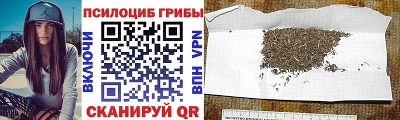 Купить закладки  Обоянь  Галлюциногенные грибы мухоморы 